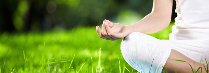 Wellness Classes Leesburg VA - Basics First Chiropractic Wellness Classes Leesburg VA - Basics First Chiropractic